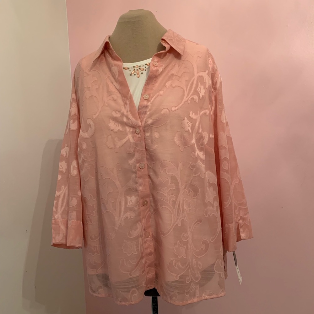 Alfred Dunner 3/4 length sleeve burnout 2 for 1